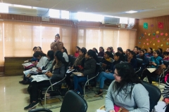 WhatsApp Image 2019-02-12 at 18.44.37 (3)