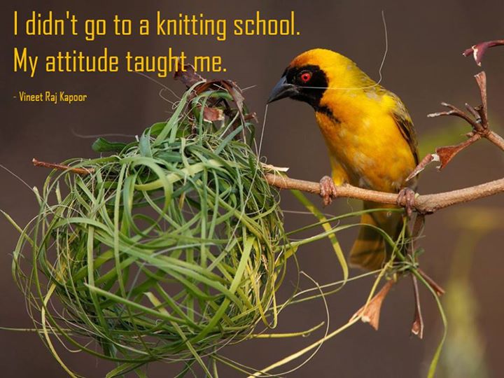 I didn't go to a Knitting School. My Attitude taught me. - Vineet Raj Kapoor